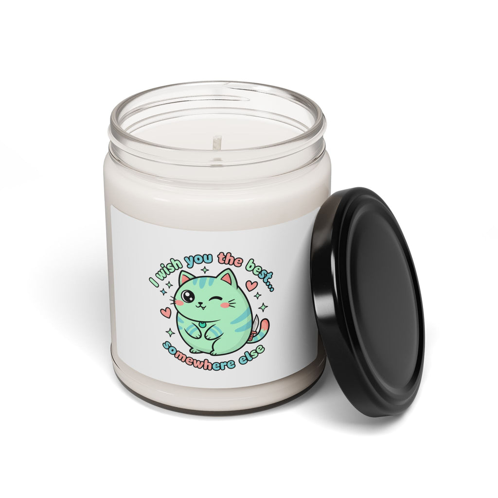 I Wish You The Best Somewhere Else Candle | Cute Menacing Kawaii Soy Candle