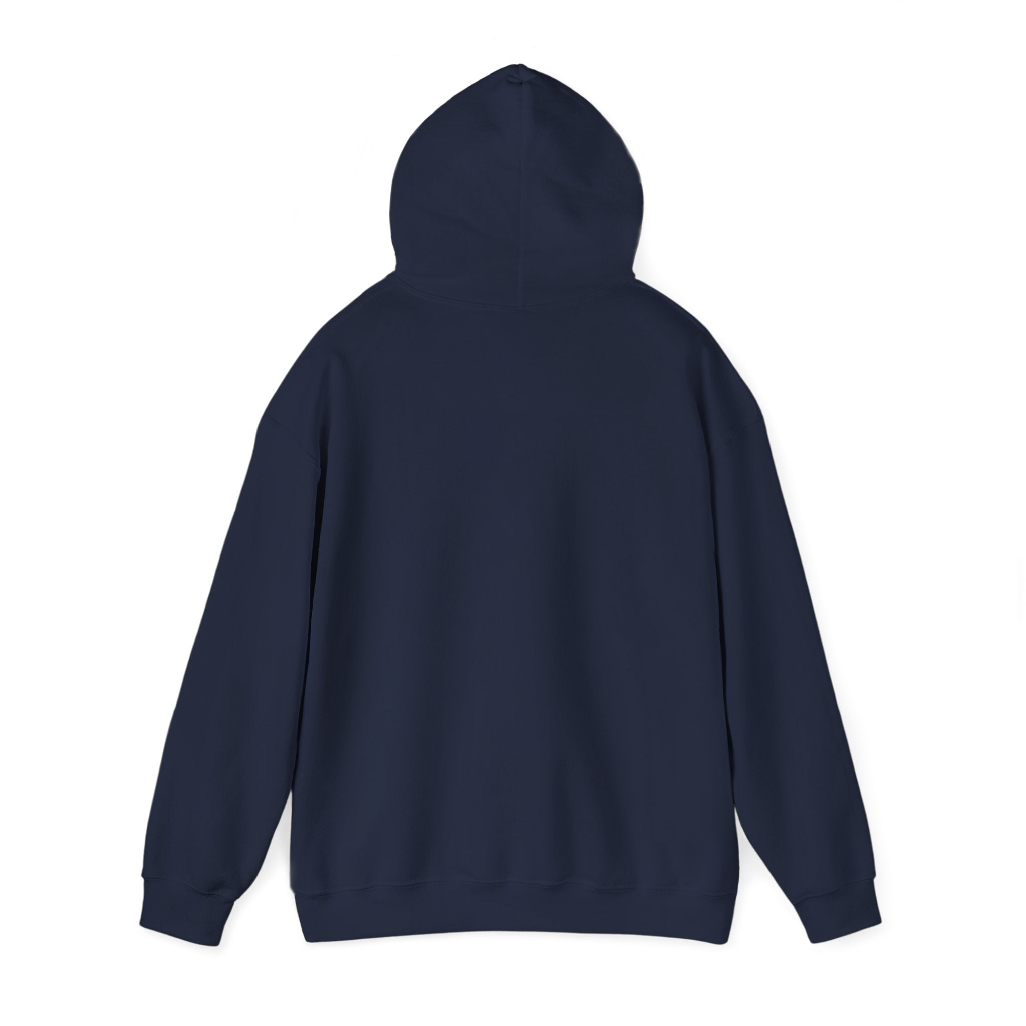 Almost Spring Thaw Humor Hoodie | spring tease, winter spring meme