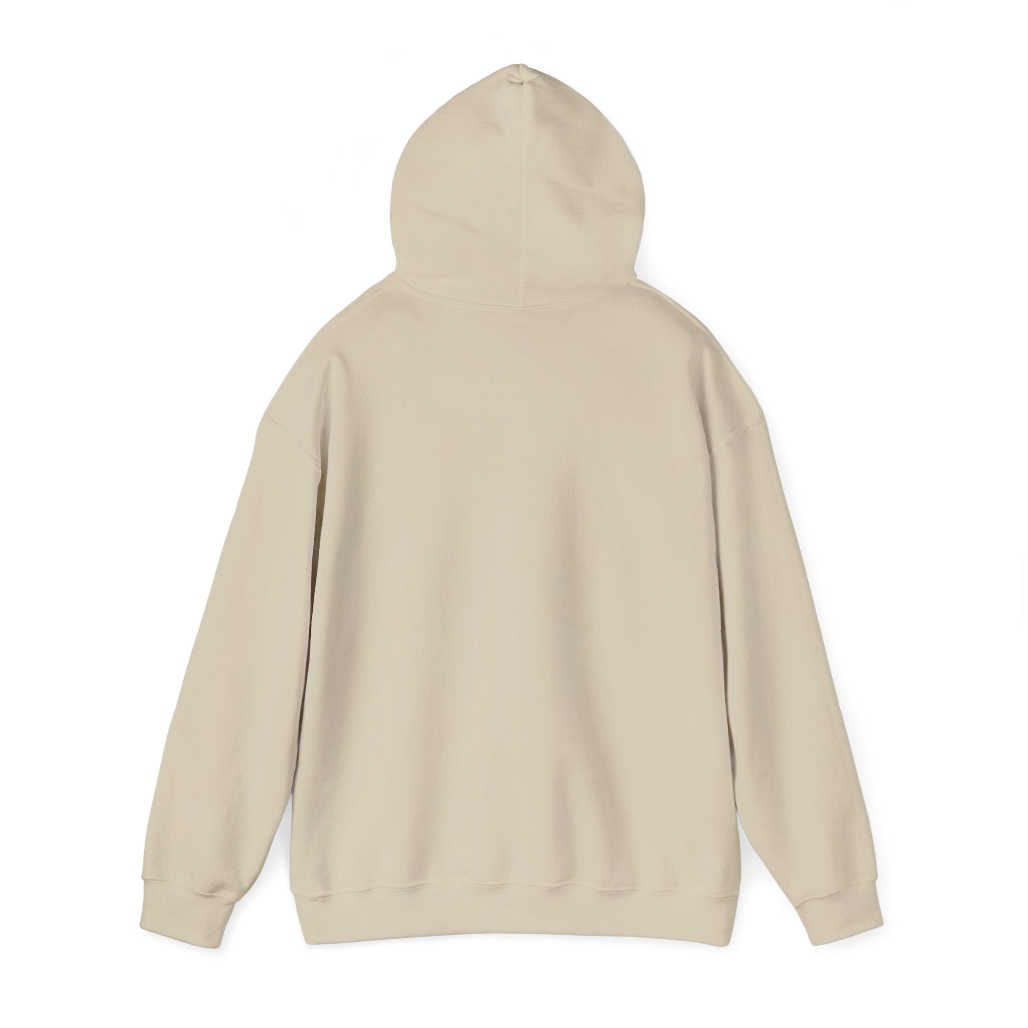 Almost Spring Thaw Humor Hoodie | spring tease, winter spring meme
